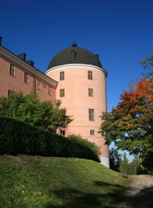 Kungafamiljens anknytning till Uppsala