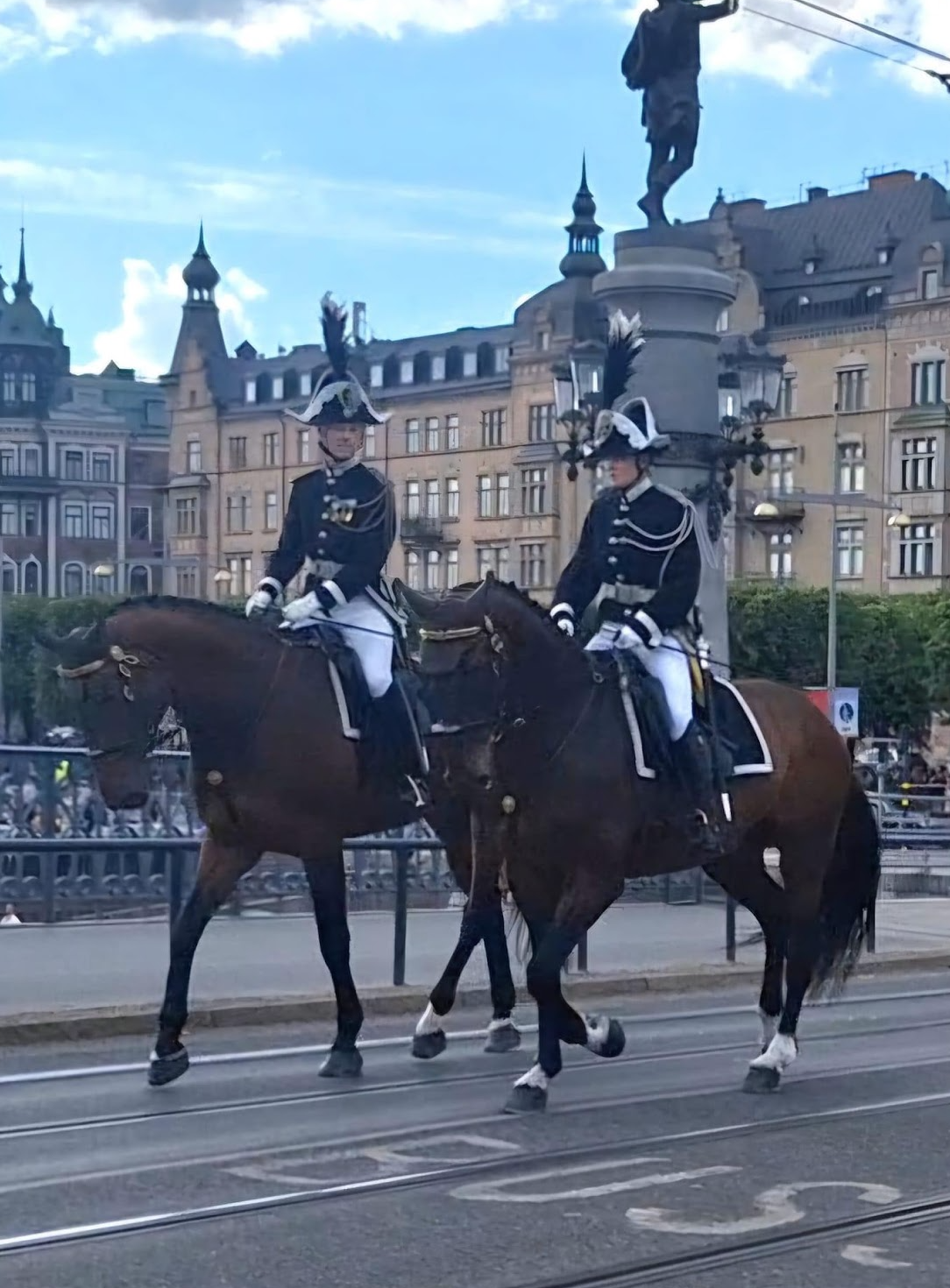 Sveriges nationaldag 6 juni